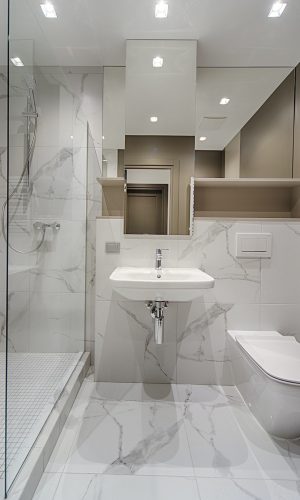 Bathroom Renovation Trends