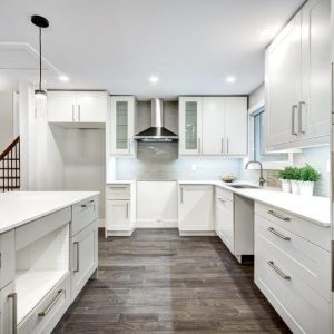Upgraded Kitchen Kitchen Renovation